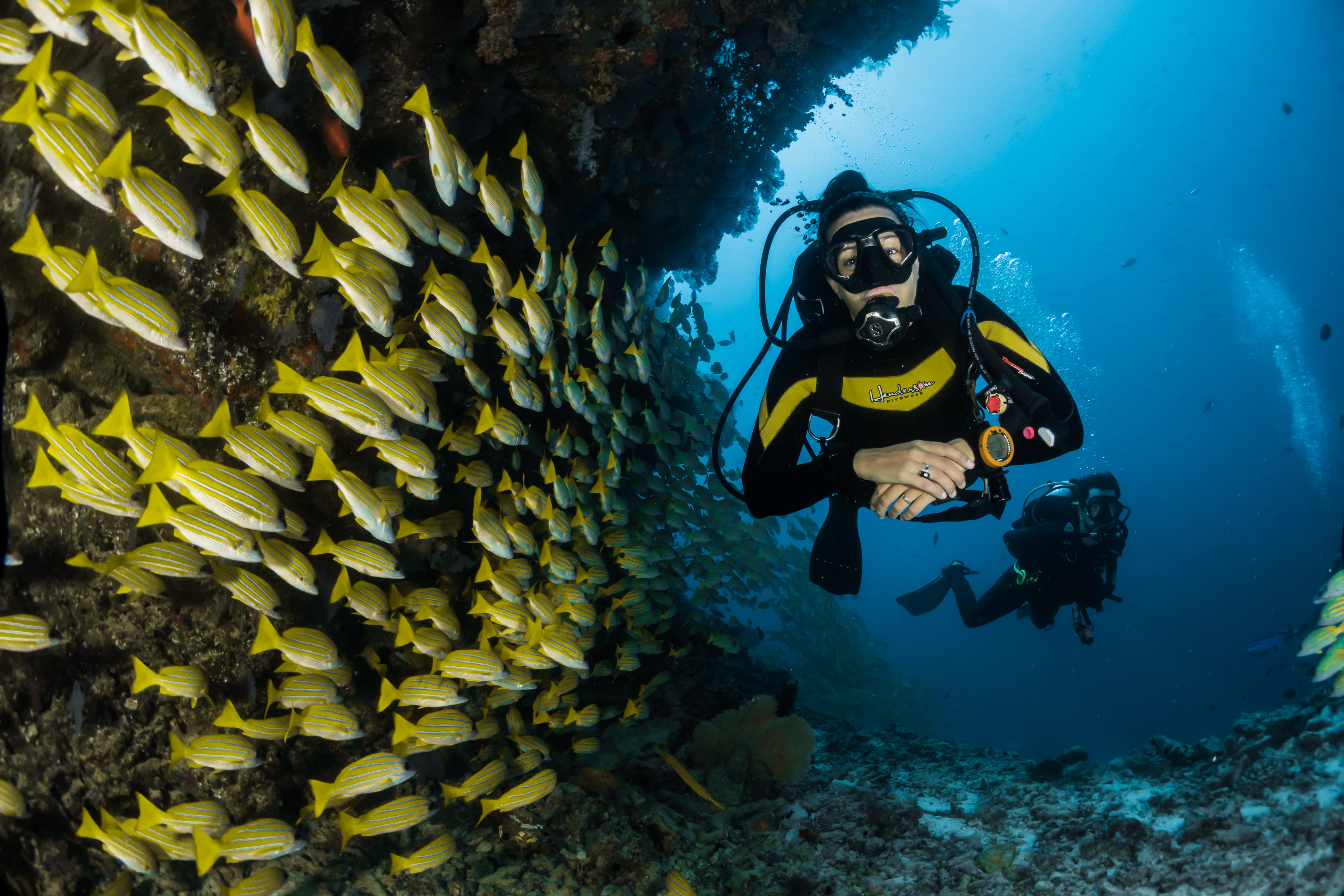Scuba Diving/Snorkling